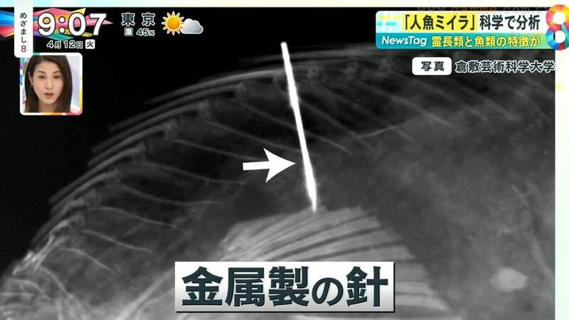 圖片12 圖片12