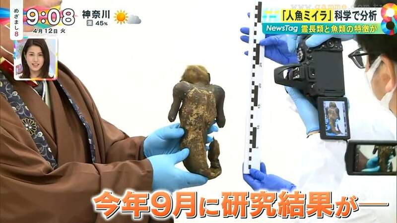 圖片13 圖片13