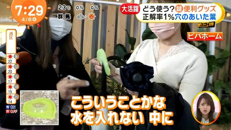 圖片40 圖片40