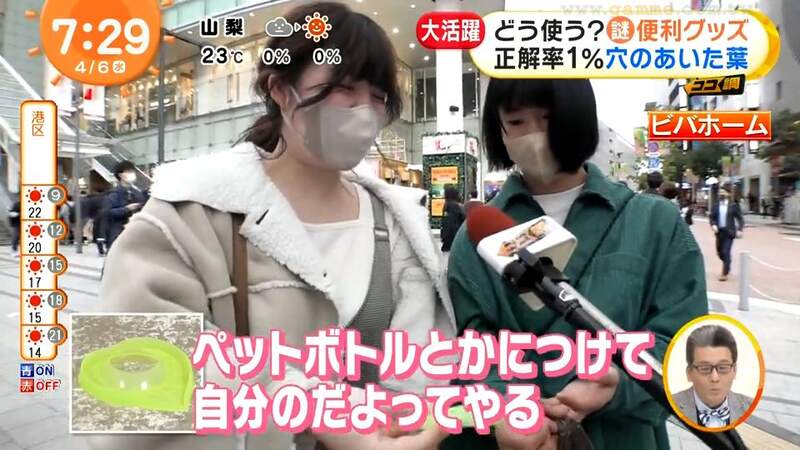 圖片41 圖片41