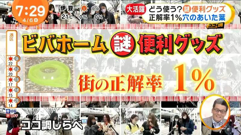 圖片43 圖片43