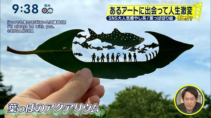 圖片22 圖片22
