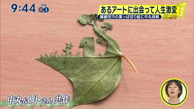 圖片35 圖片35
