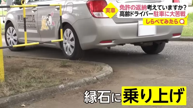 图片21