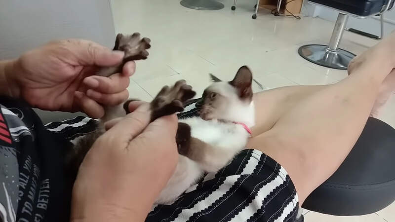 圖片4 圖片4