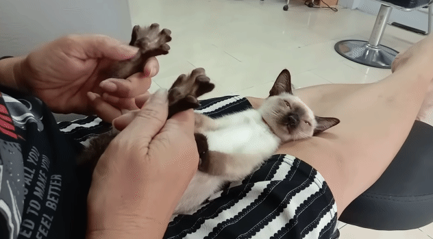 圖片5 圖片5