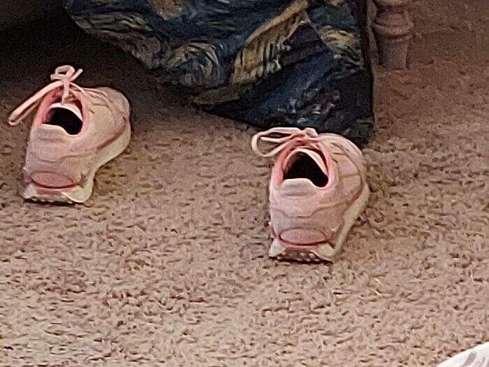 圖片7 圖片7