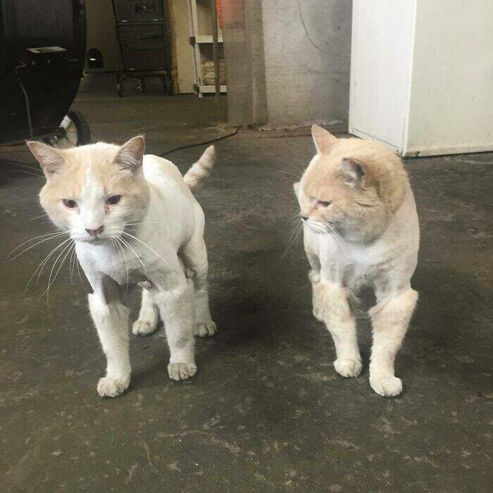 圖片6 圖片6