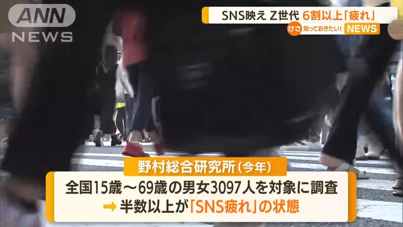 图片8