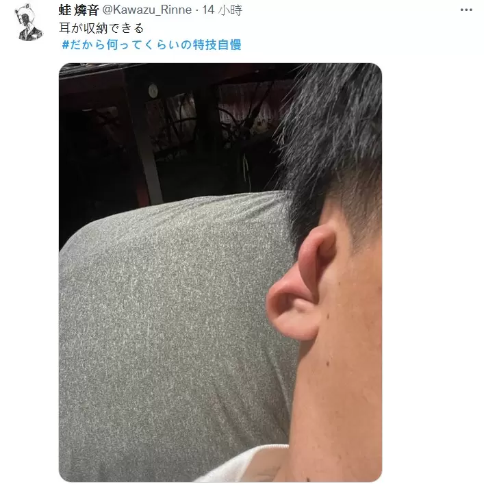 圖片19 圖片19