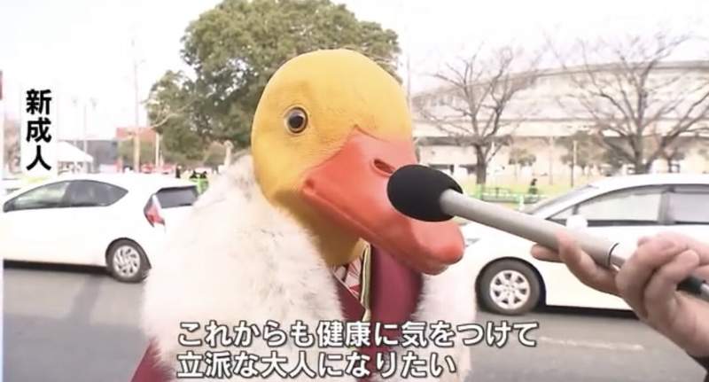 圖片12 圖片12