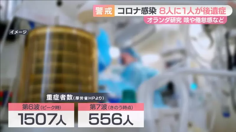 圖片6 圖片6