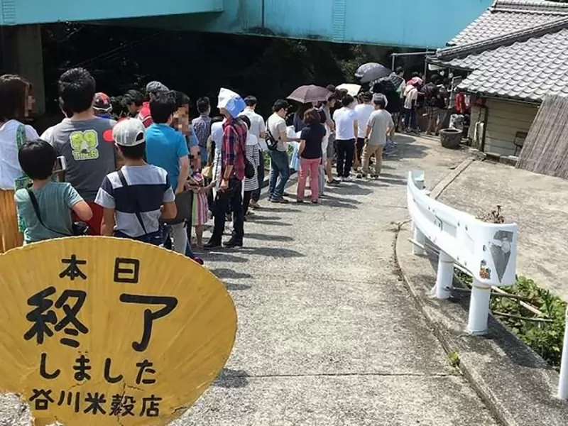 圖片12 圖片12