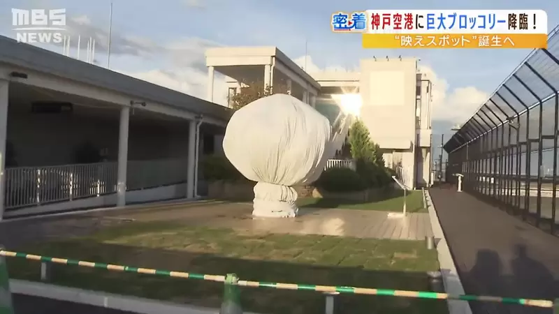 圖片4 圖片4