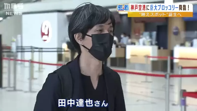 圖片7 圖片7