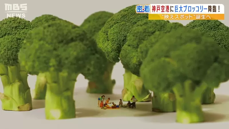 圖片9 圖片9