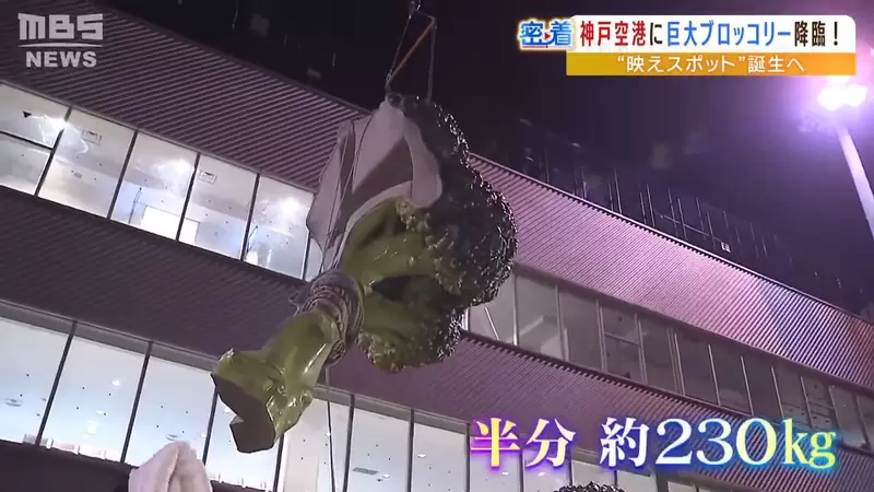 圖片17 圖片17