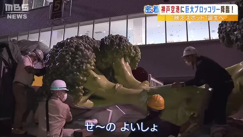 圖片16 圖片16