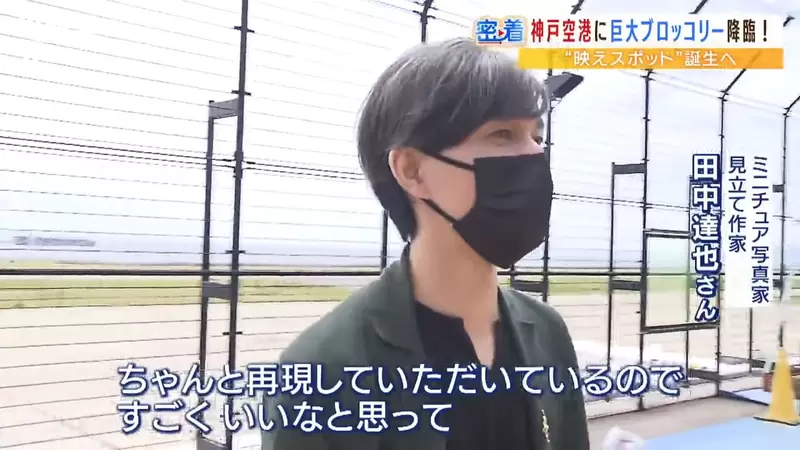 圖片23 圖片23