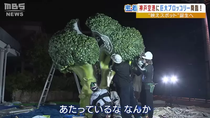 圖片21 圖片21