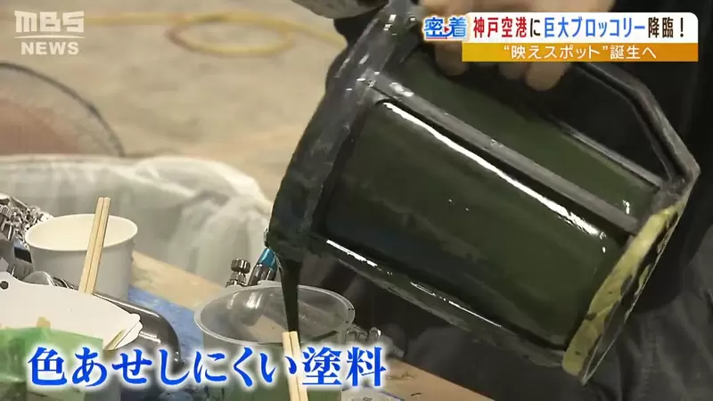 圖片14 圖片14