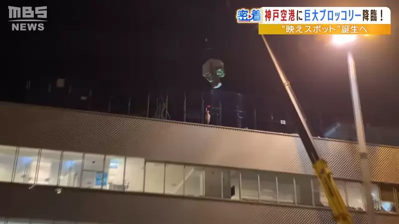 圖片18 圖片18
