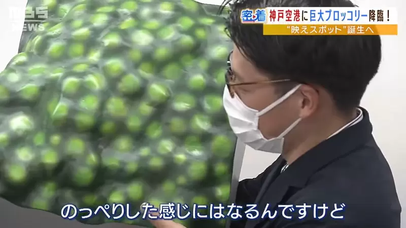 圖片11 圖片11