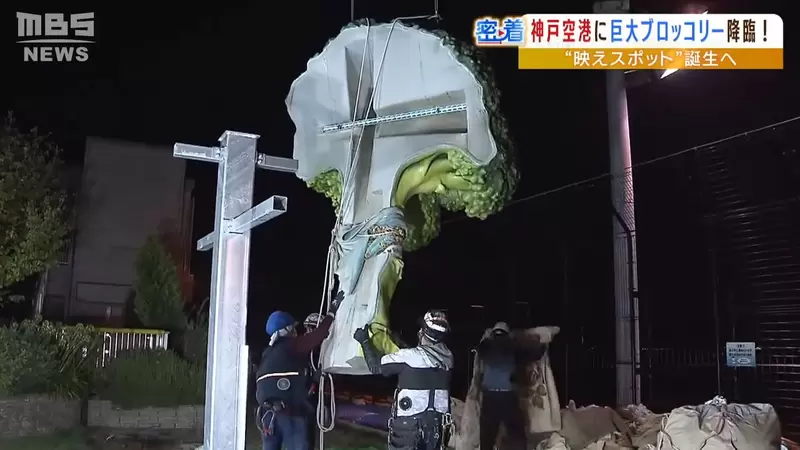 圖片19 圖片19