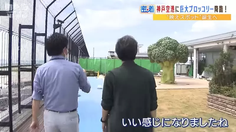 圖片22 圖片22