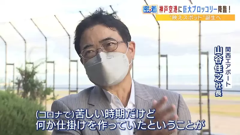 圖片5 圖片5