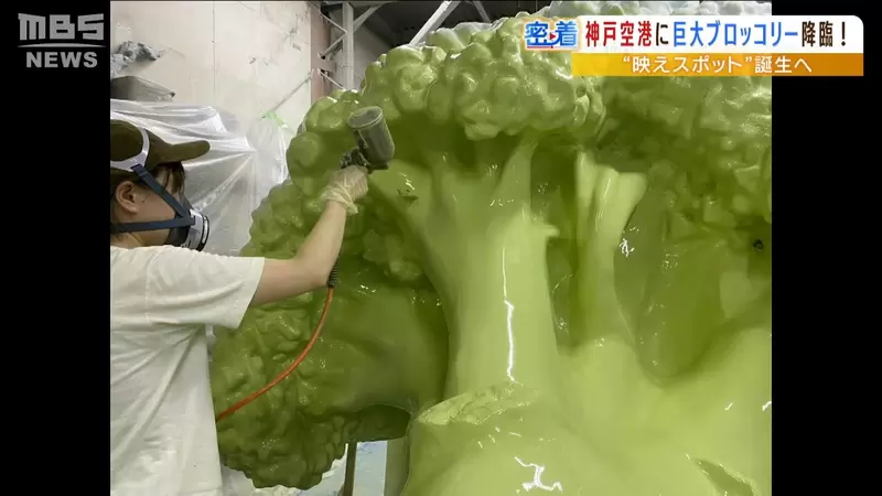 圖片13 圖片13