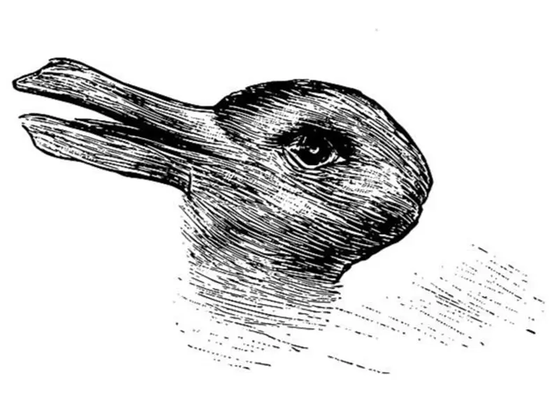 你看到的是《兔子還是鴨子》？AI也沒這麼神，還有免費AI作畫網站，設計師哭哭！ | 葉羊報報
