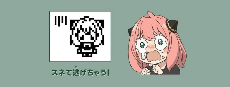 圖片5 圖片5