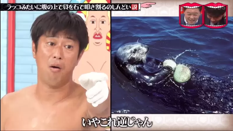 圖片23 圖片23