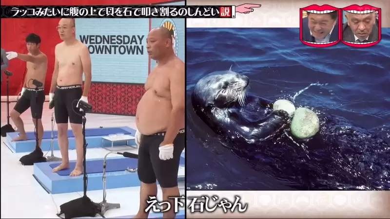 圖片22 圖片22