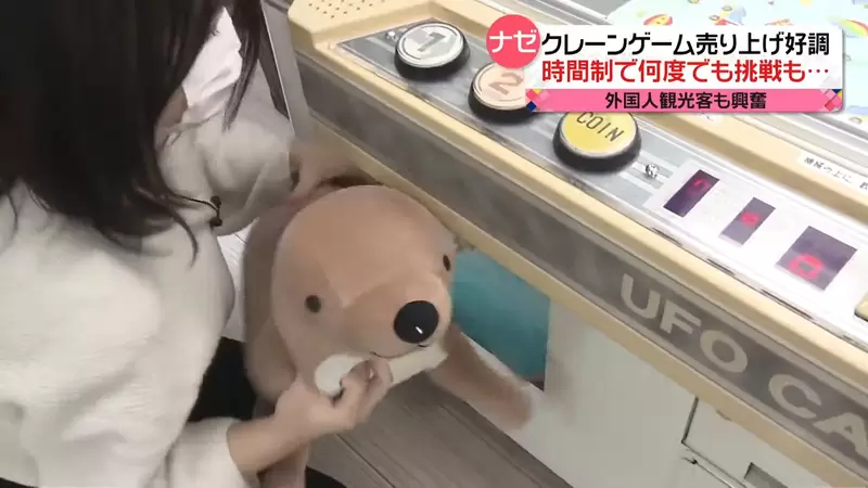 《日本最新夾娃娃機事情》咖哩飯也可以夾？還有店家推出計時制讓你夾到飽 | 葉羊報報