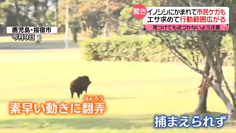 圖片11 圖片11
