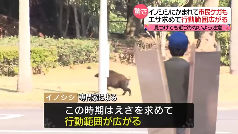 圖片12 圖片12
