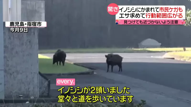 圖片10 圖片10