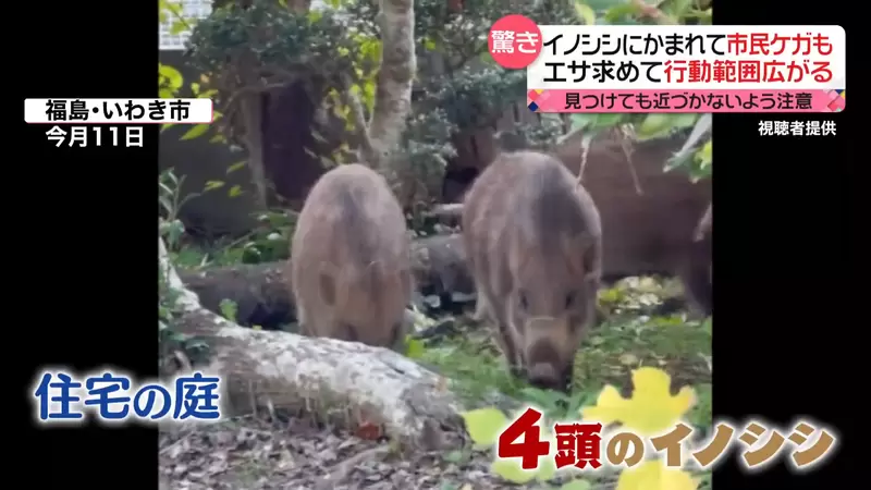 圖片8 圖片8