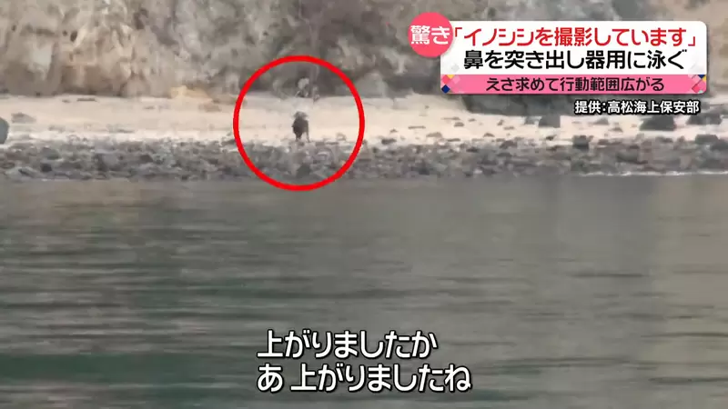圖片5 圖片5