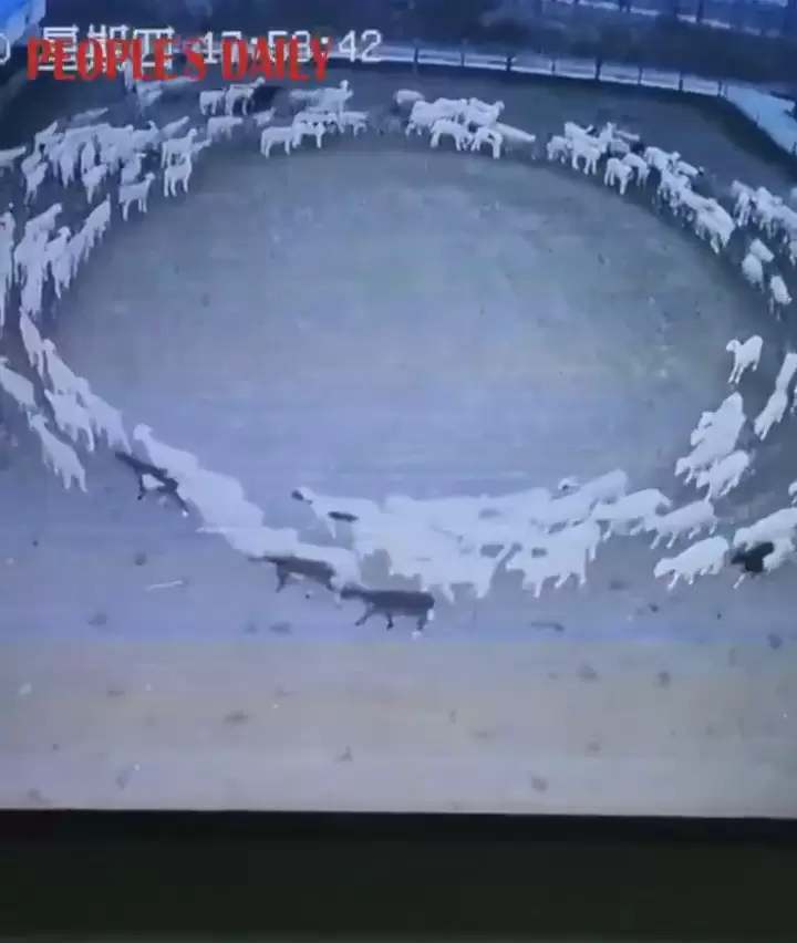 圖片4 圖片4