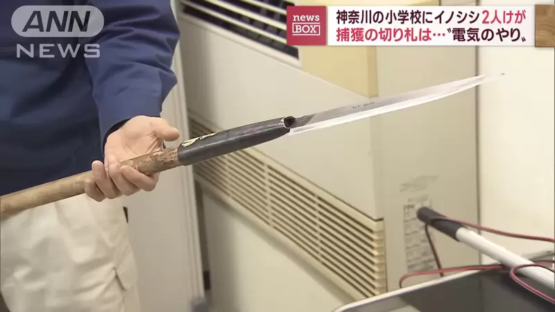 圖片15 圖片15