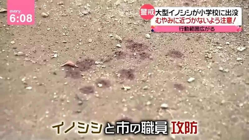 圖片9 圖片9