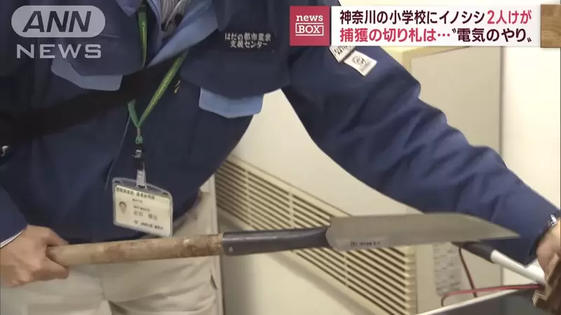 圖片14 圖片14