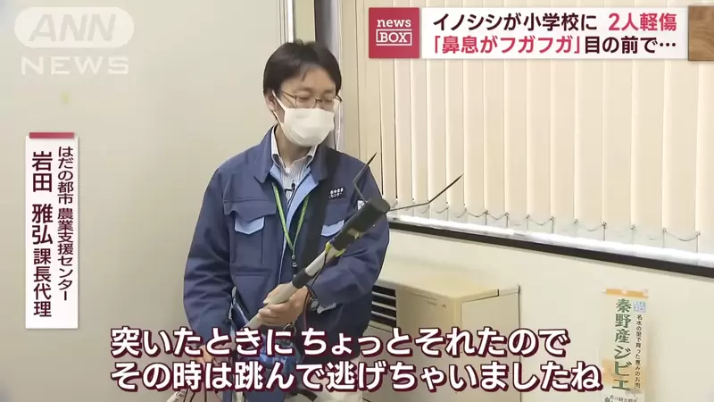 圖片11 圖片11