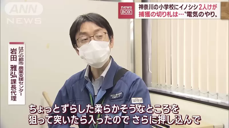 圖片17 圖片17
