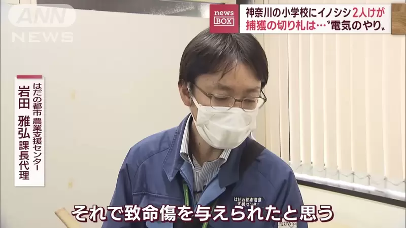 圖片18 圖片18