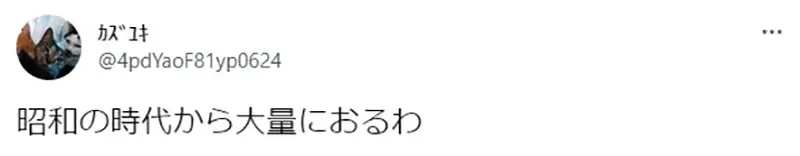 圖片5 圖片5