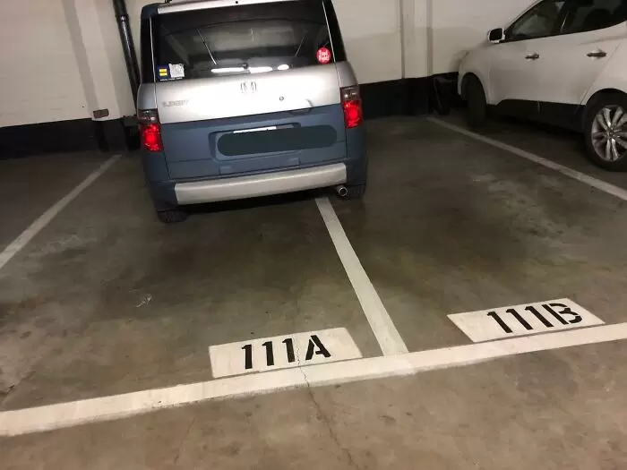 圖片19 圖片19